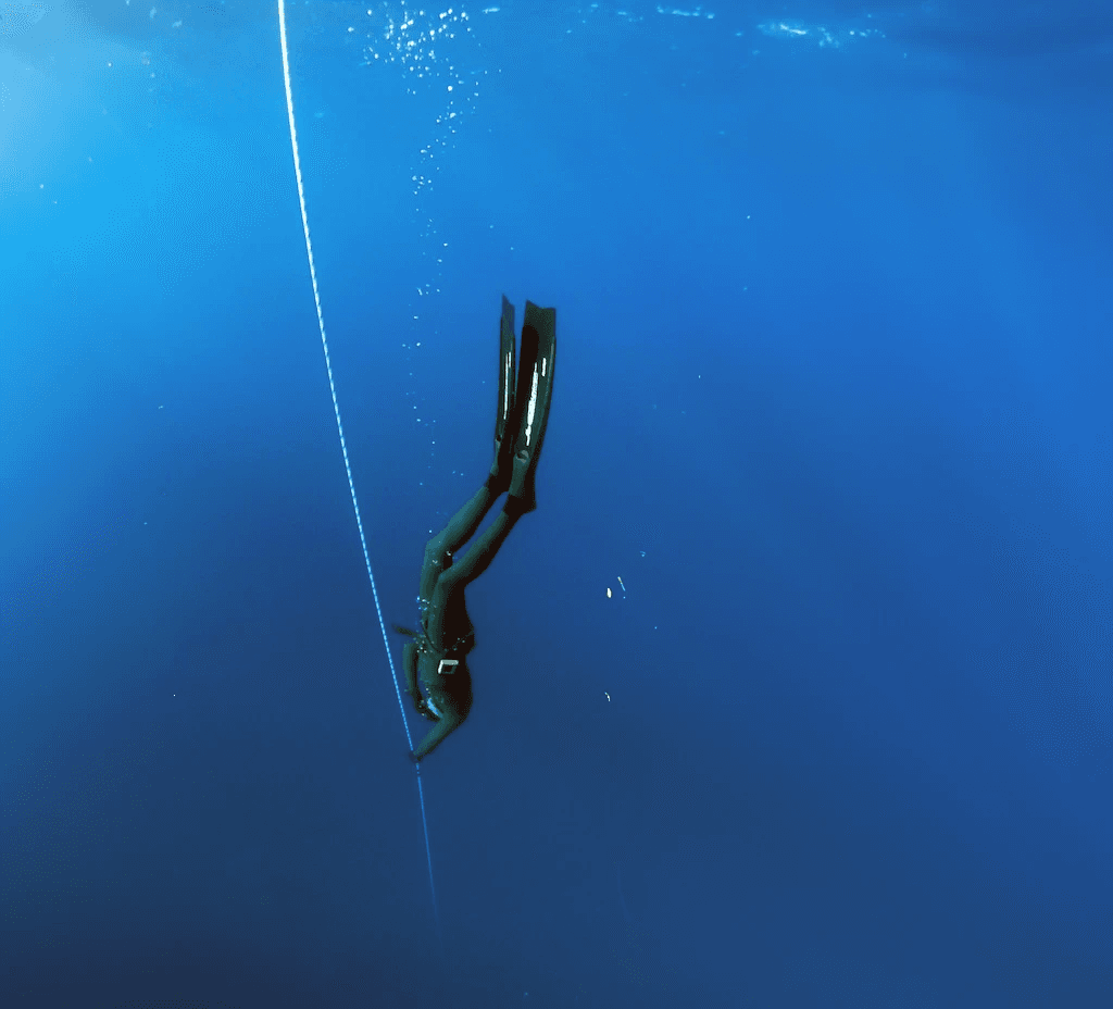 Free diver Free diver